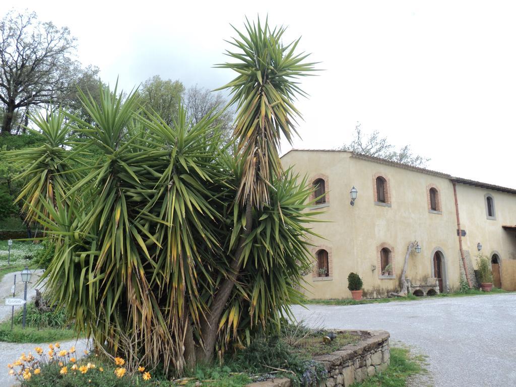 Villa Agriturismo Il Daino à San Piero Patti Extérieur photo